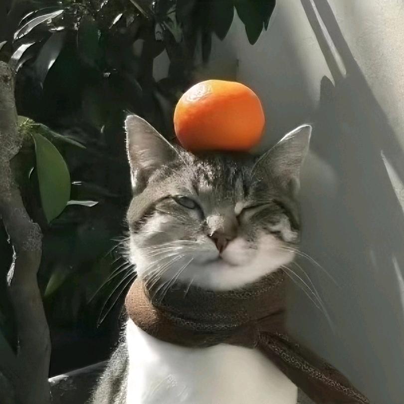 科三二次郎