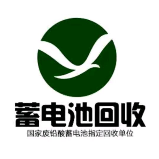 收电瓶（精神小伙）😂