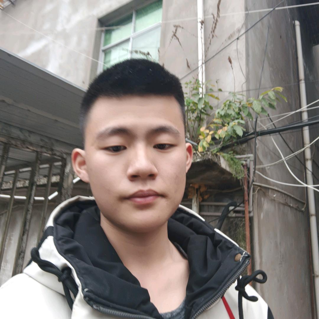 汪鸭子