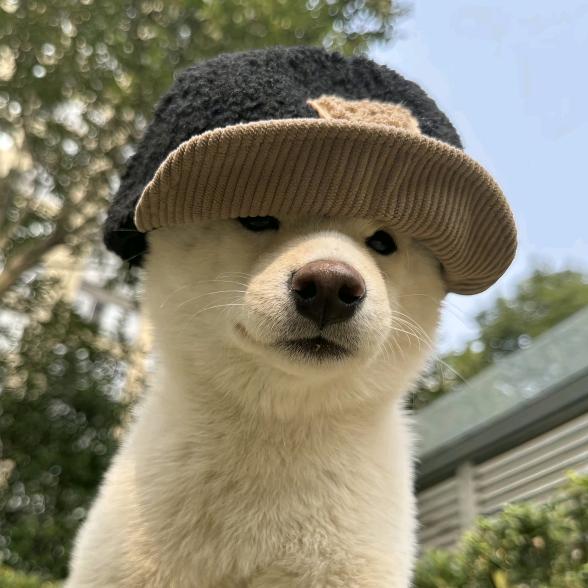 高钰轩