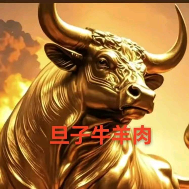 旦子鲜牛羊肉