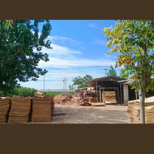 陈晓旭‘🍒🍒🍒