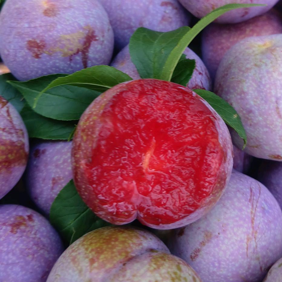 水果生鲜供应链