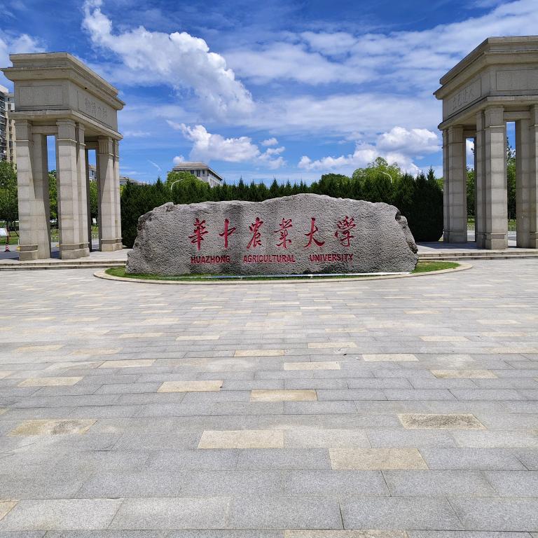 琪扬苗木～湖北襄阳