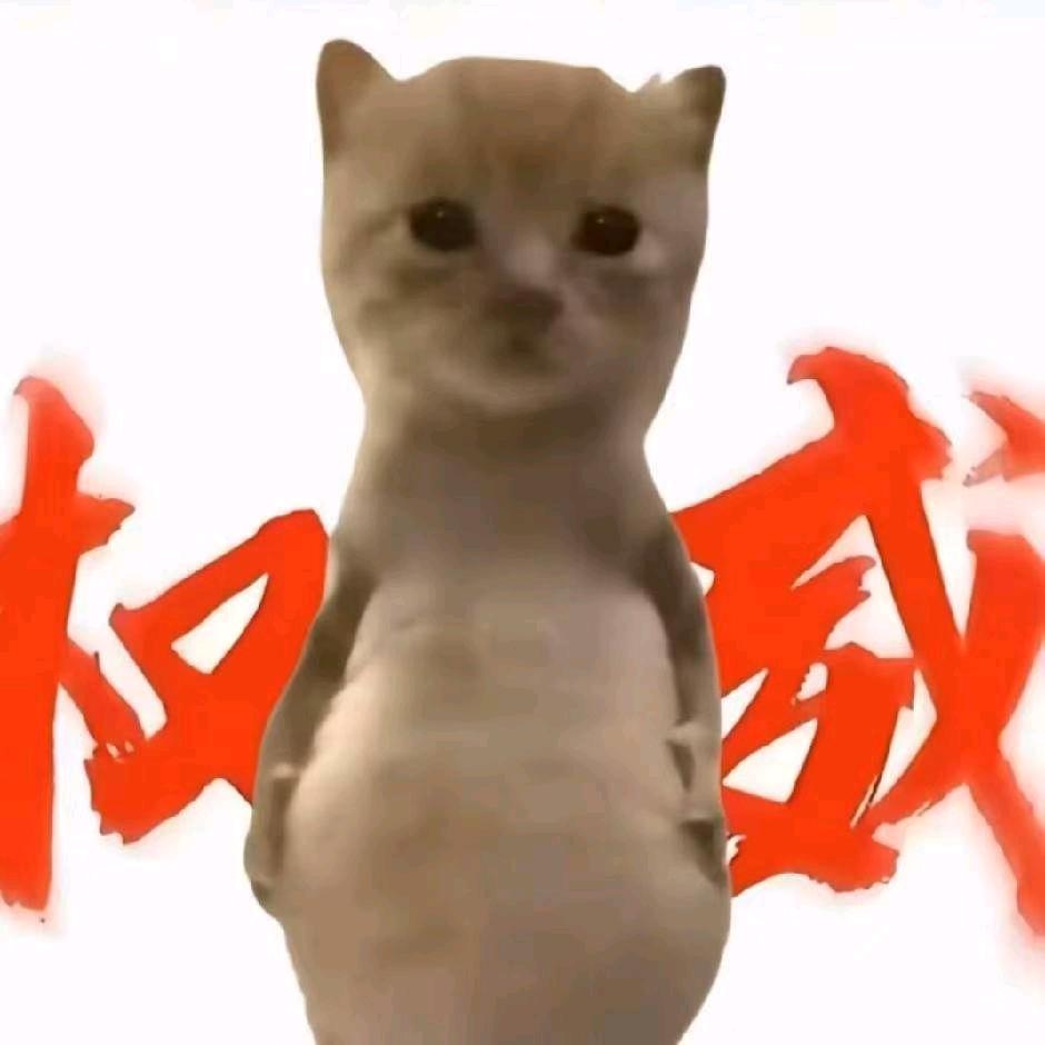 米琦不是米奇（cos版）