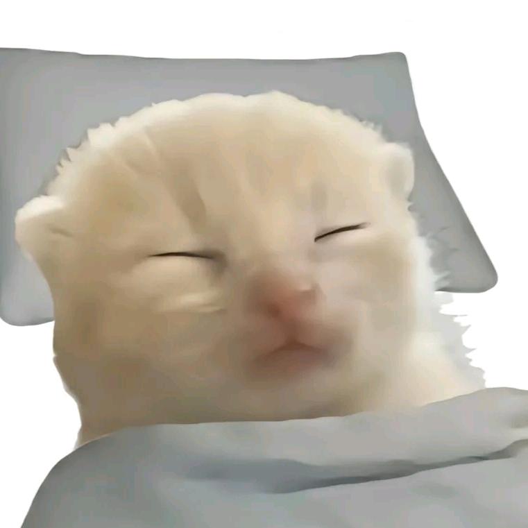 露露小吉吉