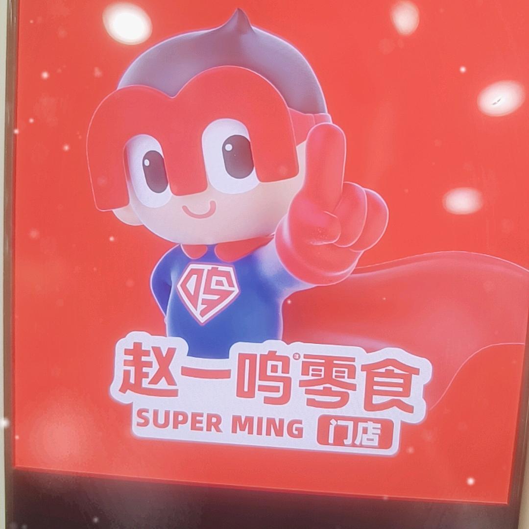 赵一鸣零食（宜春汽车西站店）