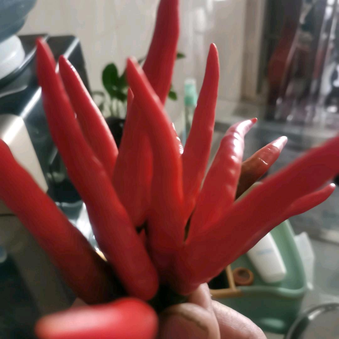 忠良