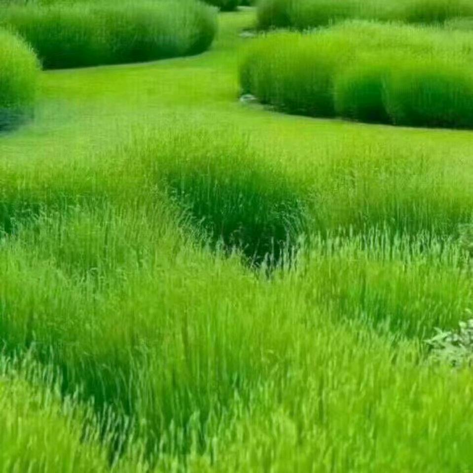 李姐