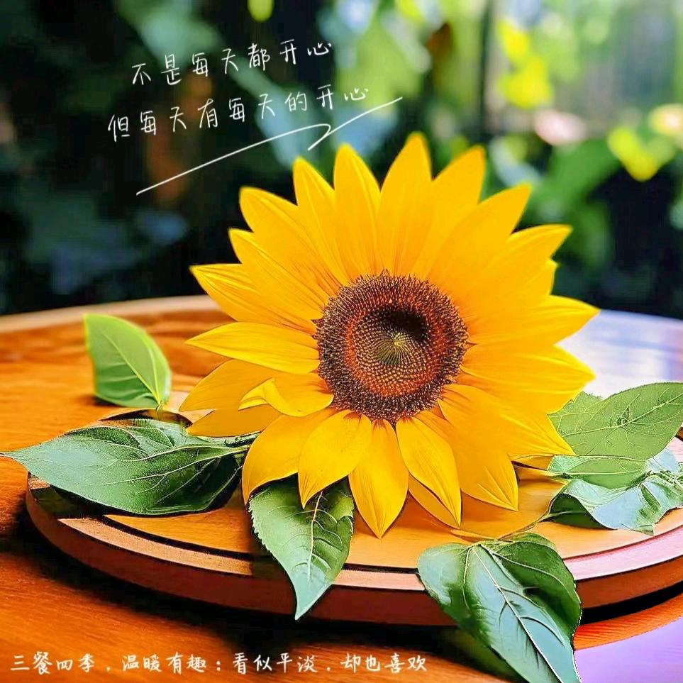 ꧁꫞温柔不是姐的范꫞꧂