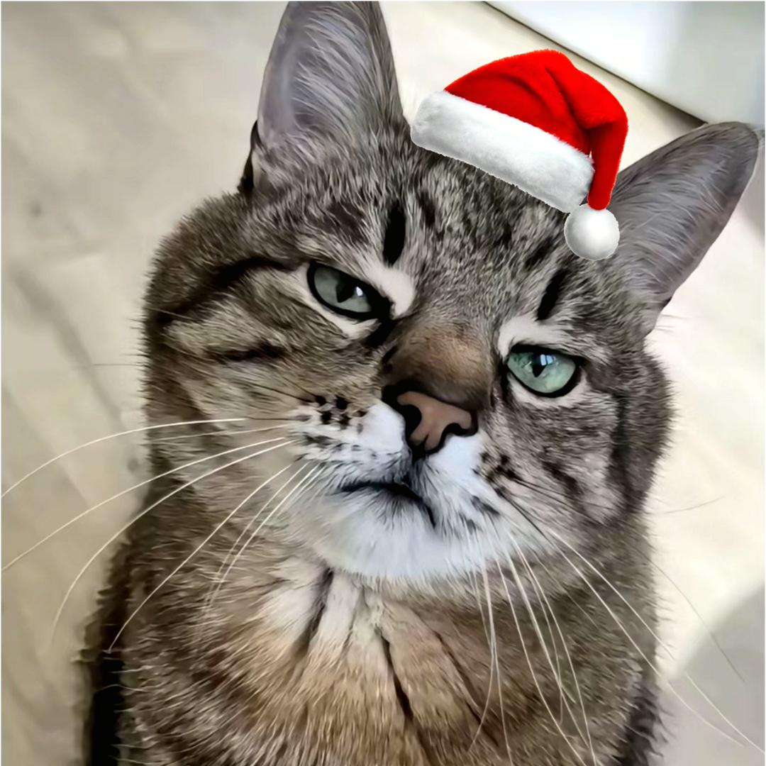 老师我窝裤子里了