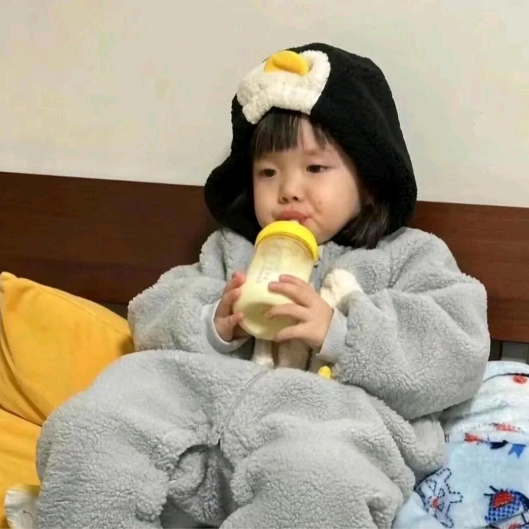 呆萌丸
