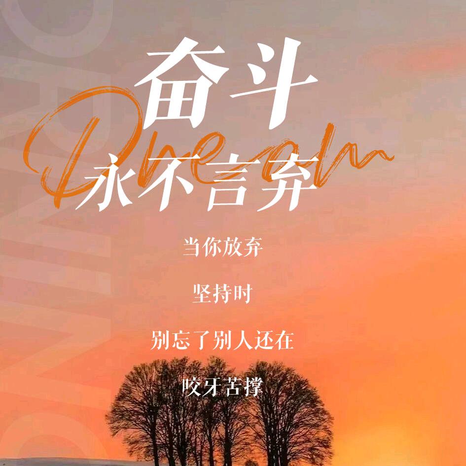 奋斗的人生