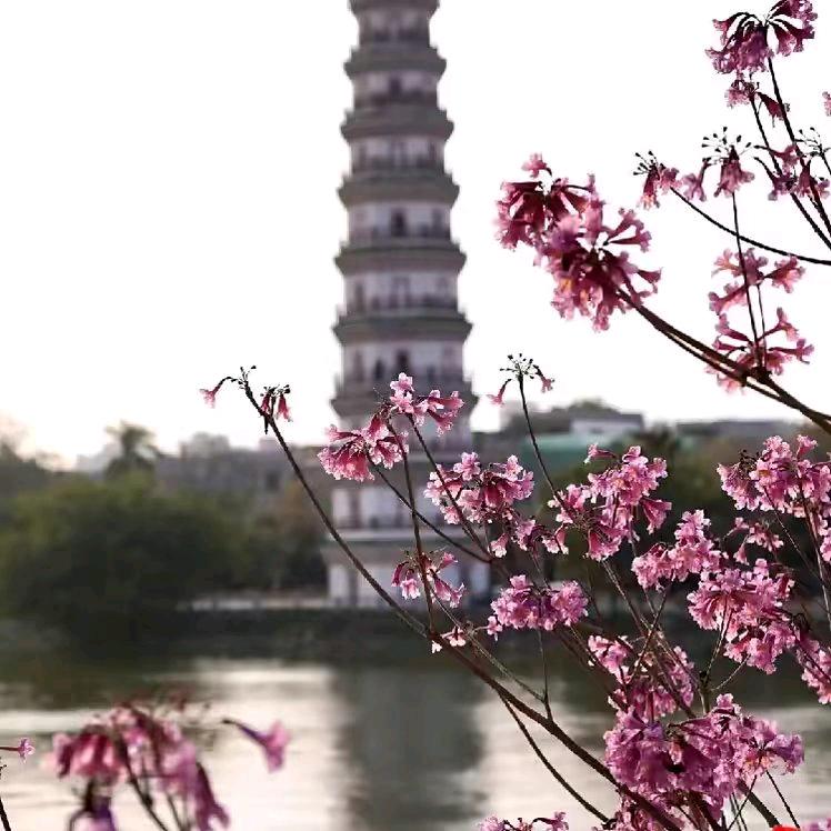 岁月静好(刘氏家族)