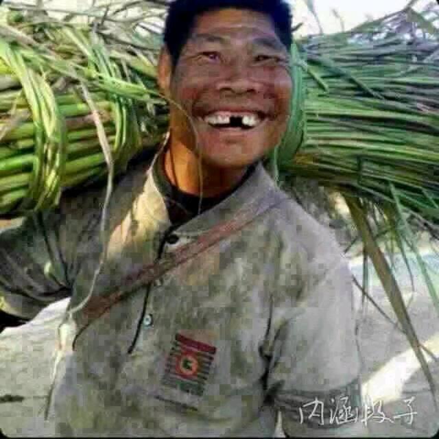 勿忘我