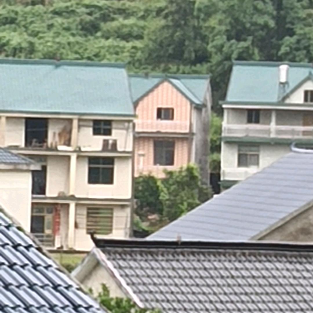 随心所欲