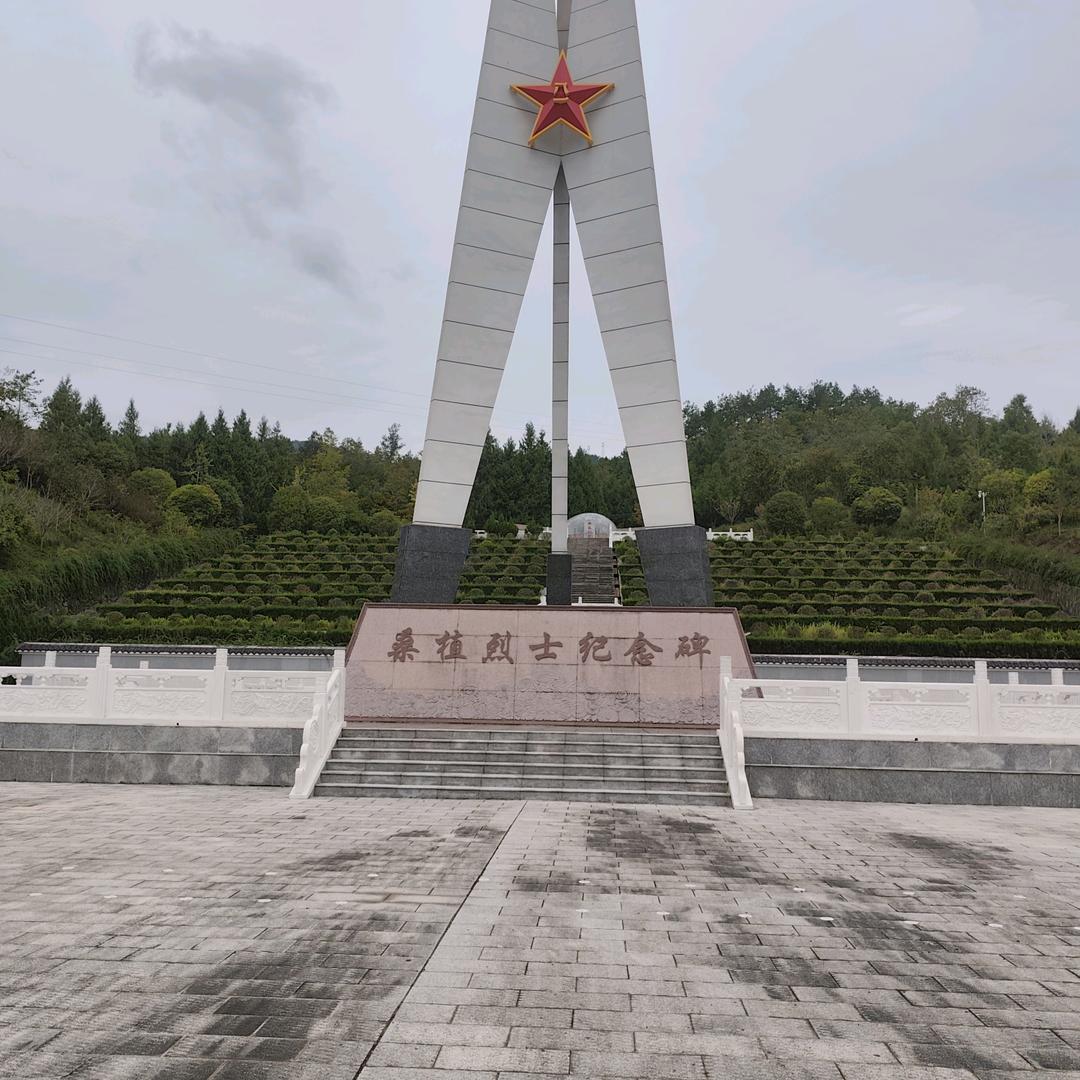 老陈