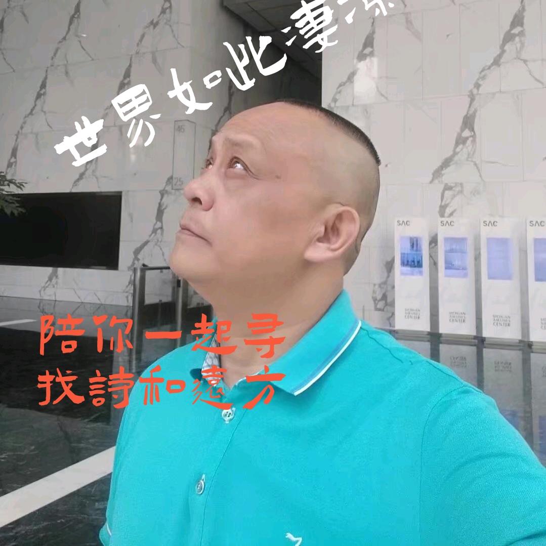 诗和远方