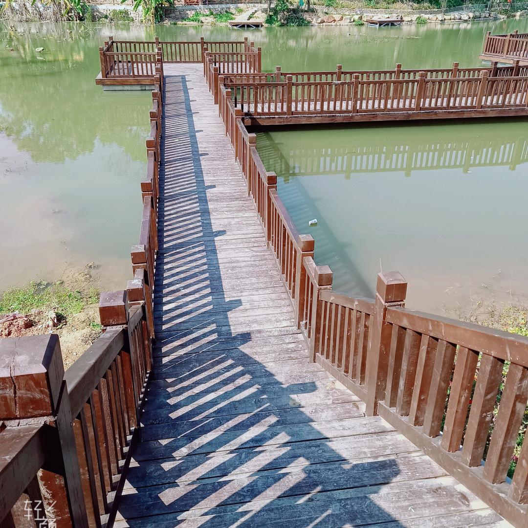 一路生花