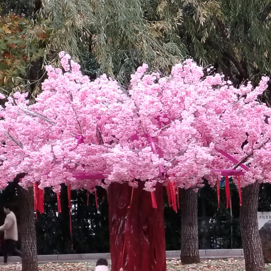 王者