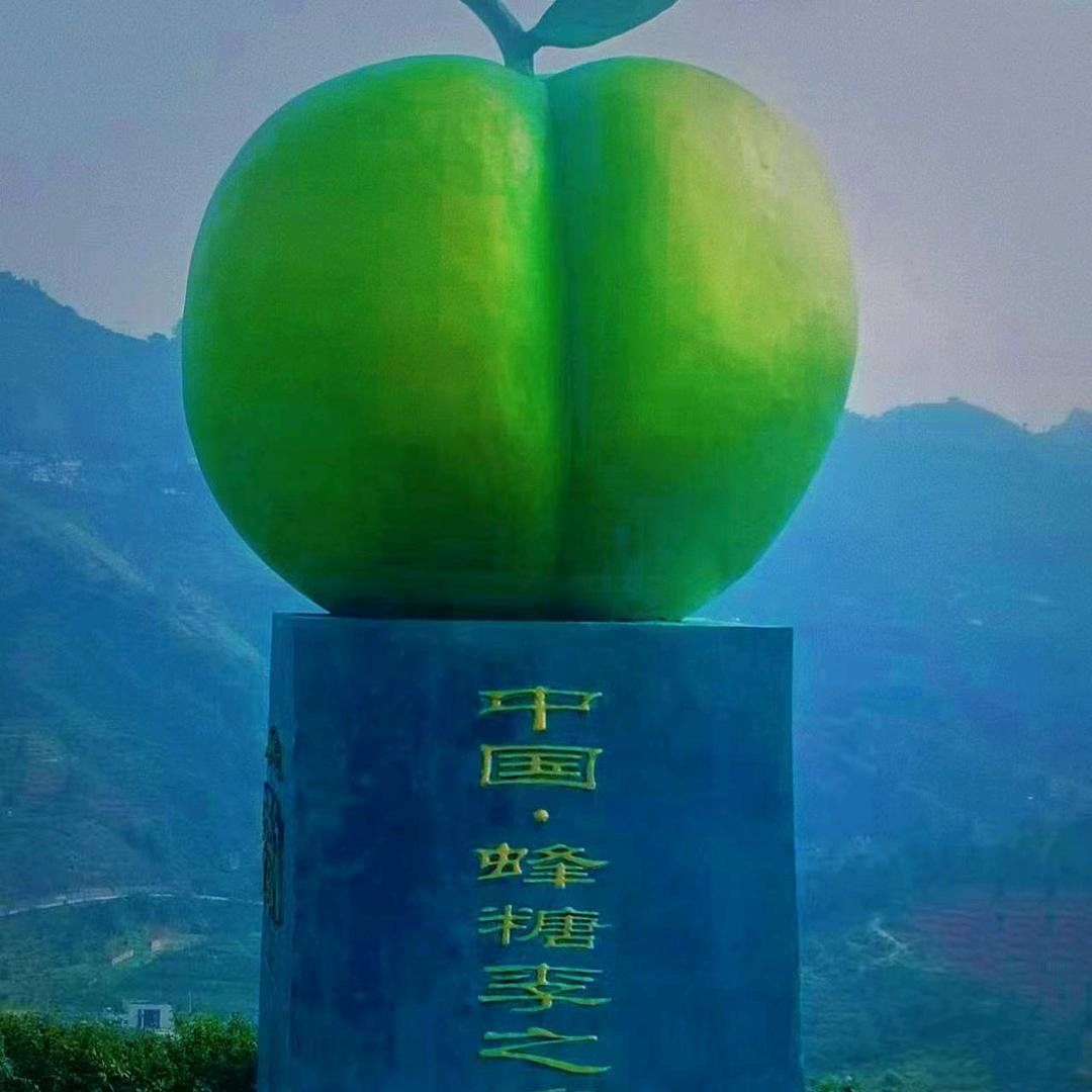小汤（六马蜂糖李）