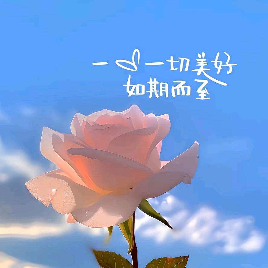 加山