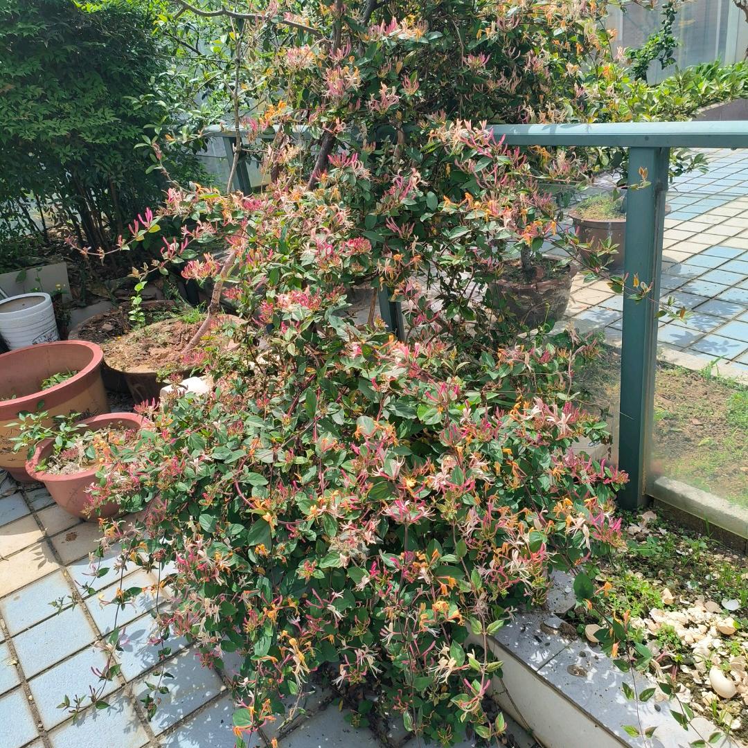 平平安安就是福