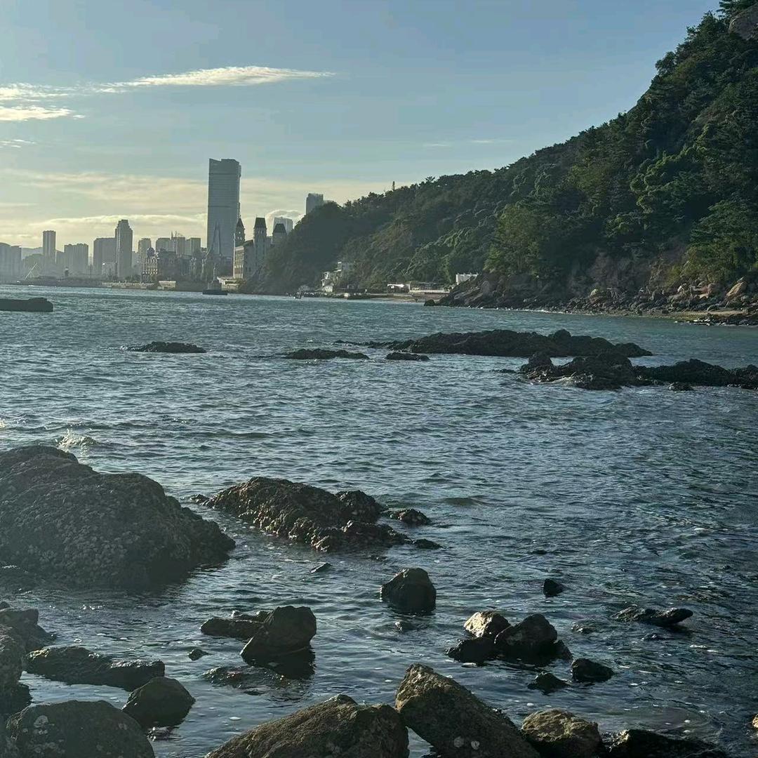 沈丘县莫请问信息咨询工作室（个体工商户）