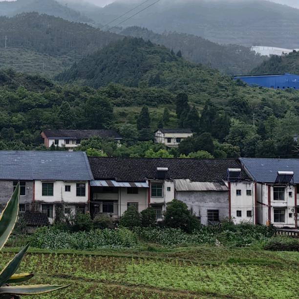 挑战一切⑨瘦仙1969