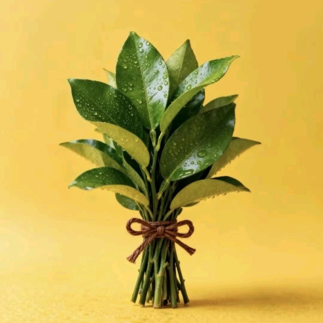 可可托海牧羊人