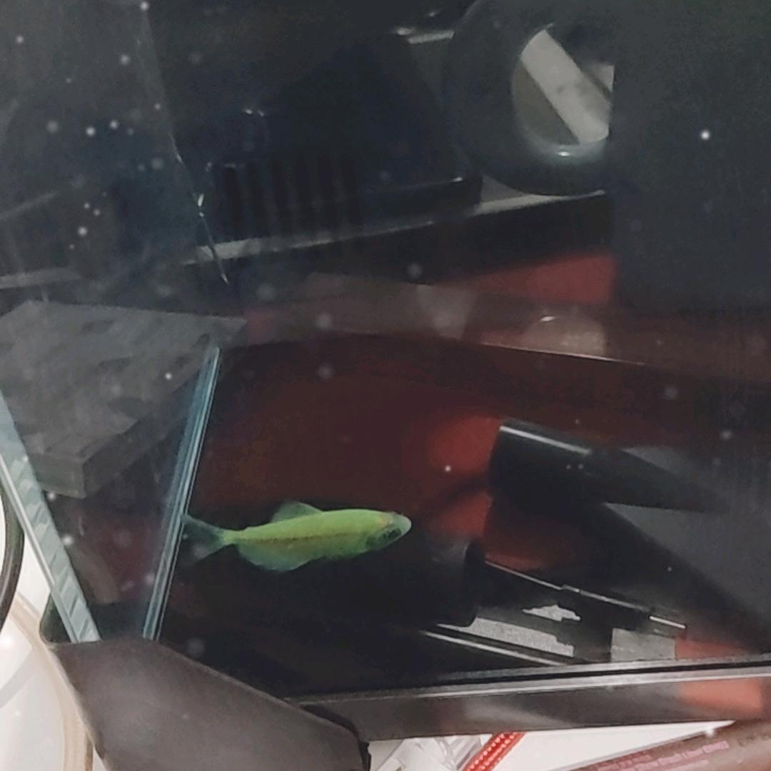 牧牧精选