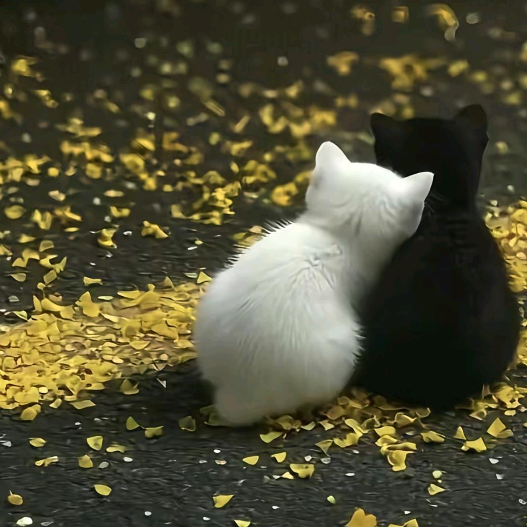 ╰ℒᎭℯ⃝勿扰᭄ོ࿆