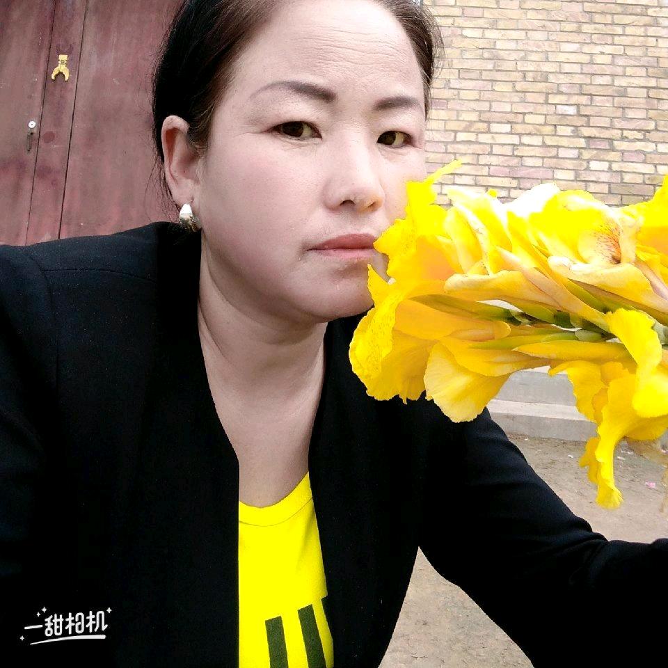 带刺的玫瑰