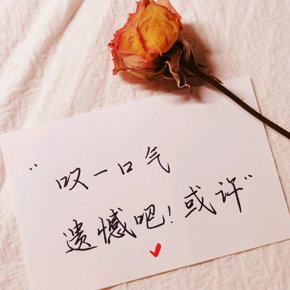 风止意难平”