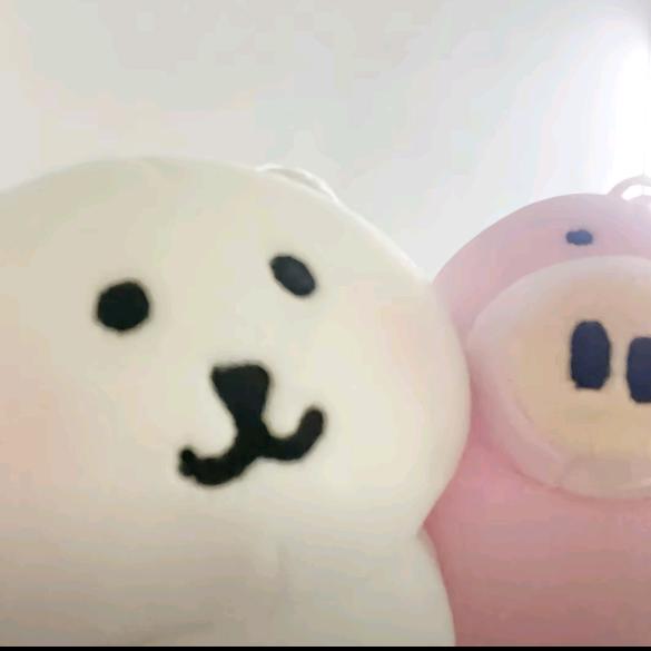 橘子小白羊🐏