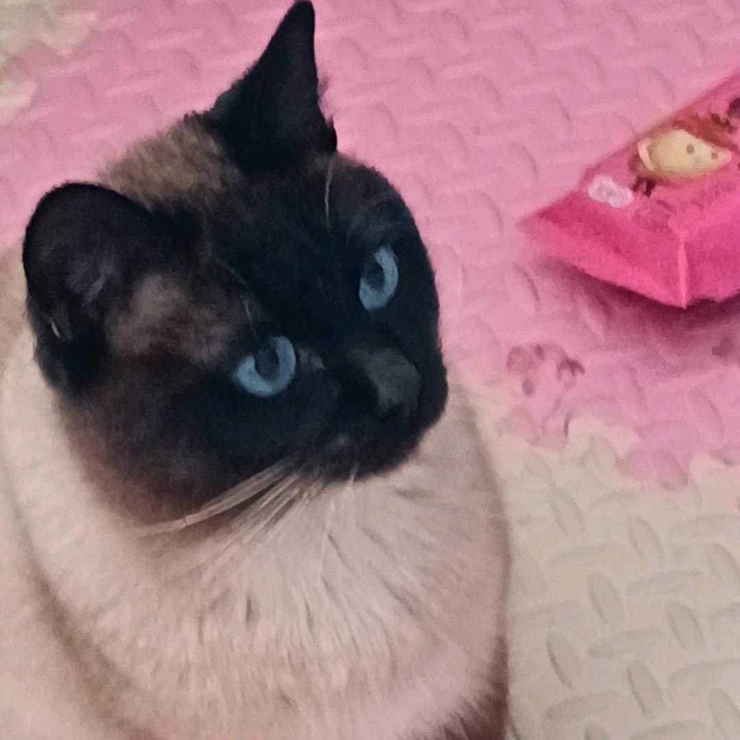 爱(⑉°з°)-♡
