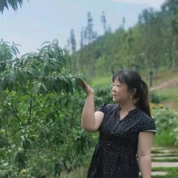 辜幺妹