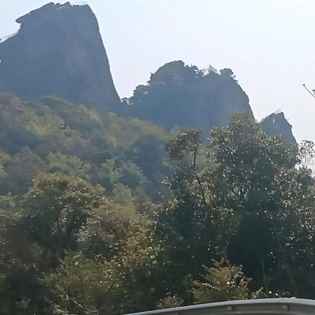 顺其自然