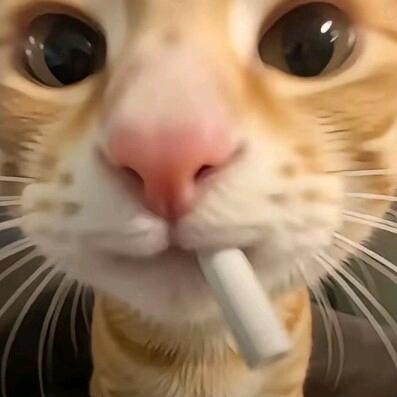 秋刀鱼.