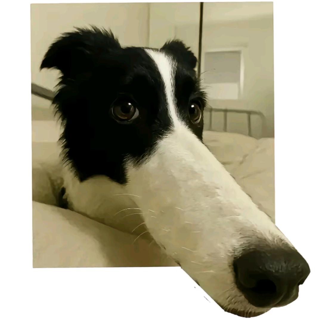 缊月