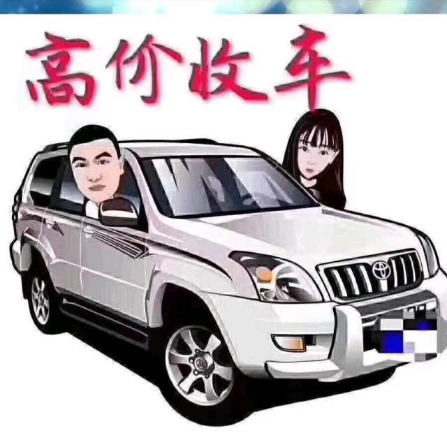 老表 上海新能源二手车