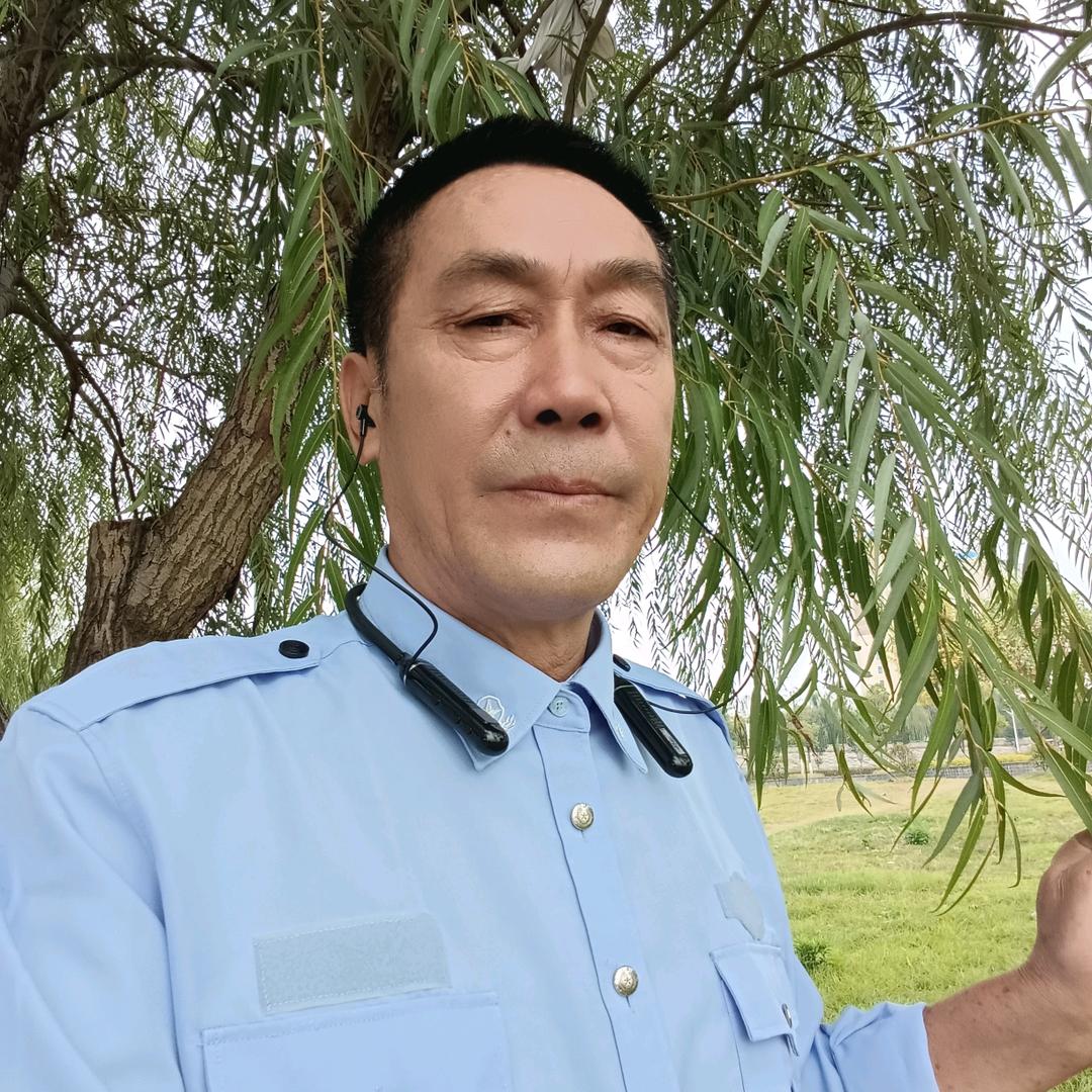 只求安乐