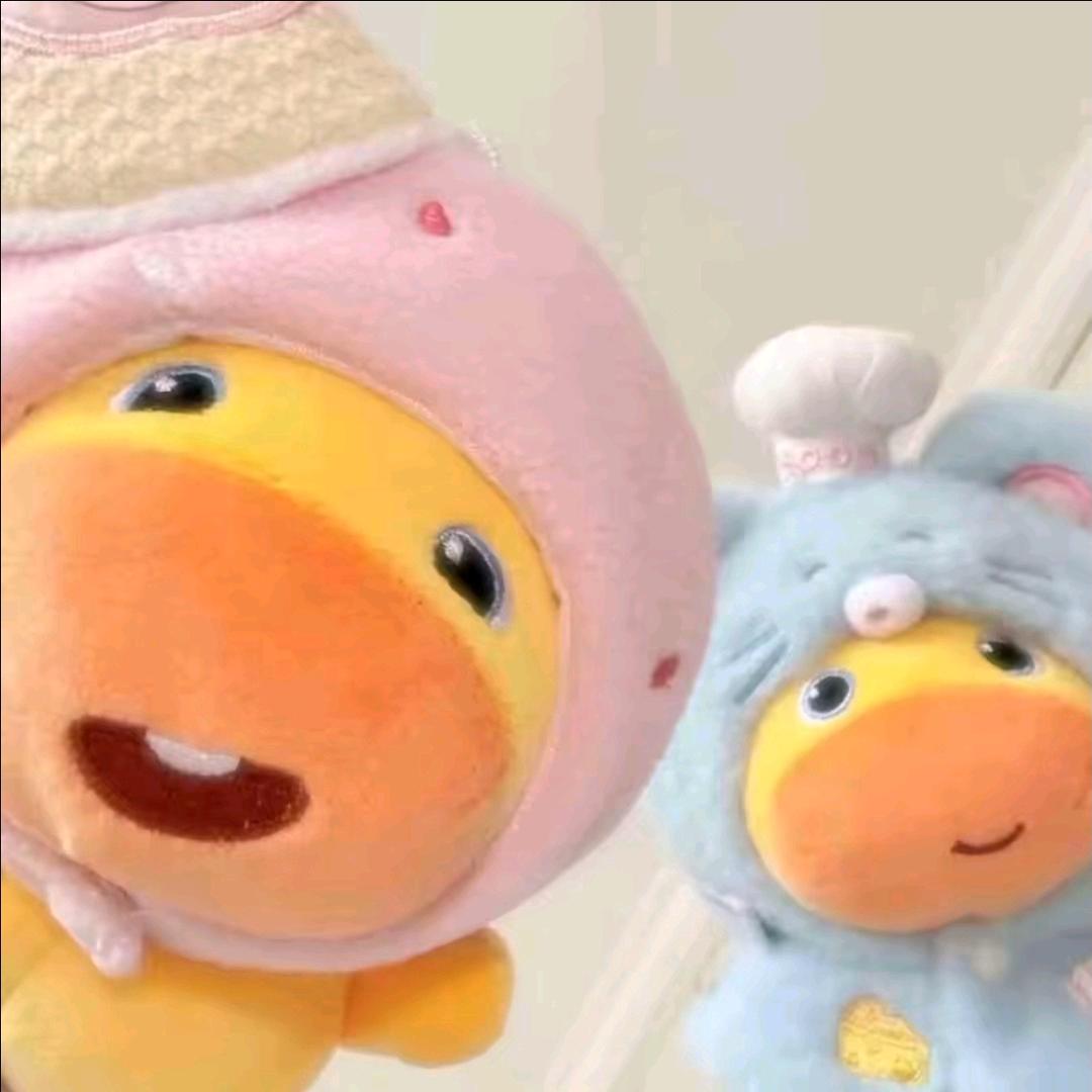 蛋仔主播呆萌遇