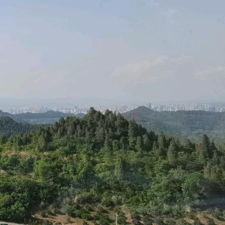 悦悦的小货车