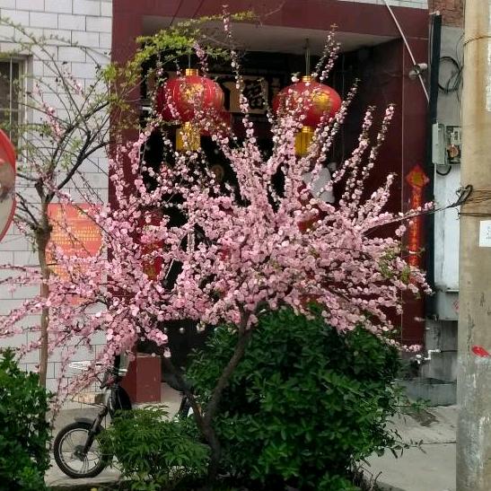 昊宇好物(橱窗有好物)