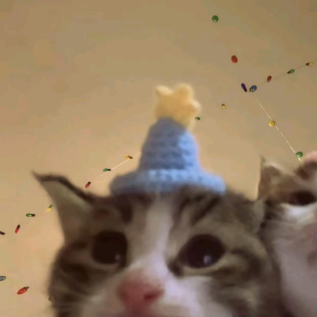 cccc