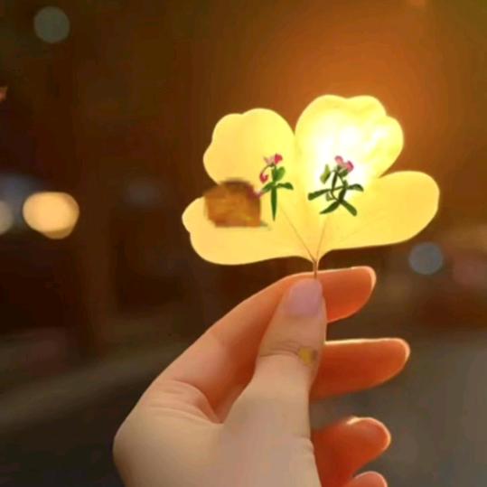 刘家小妹
