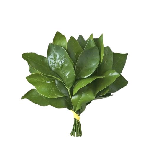 管不住嘴的女人