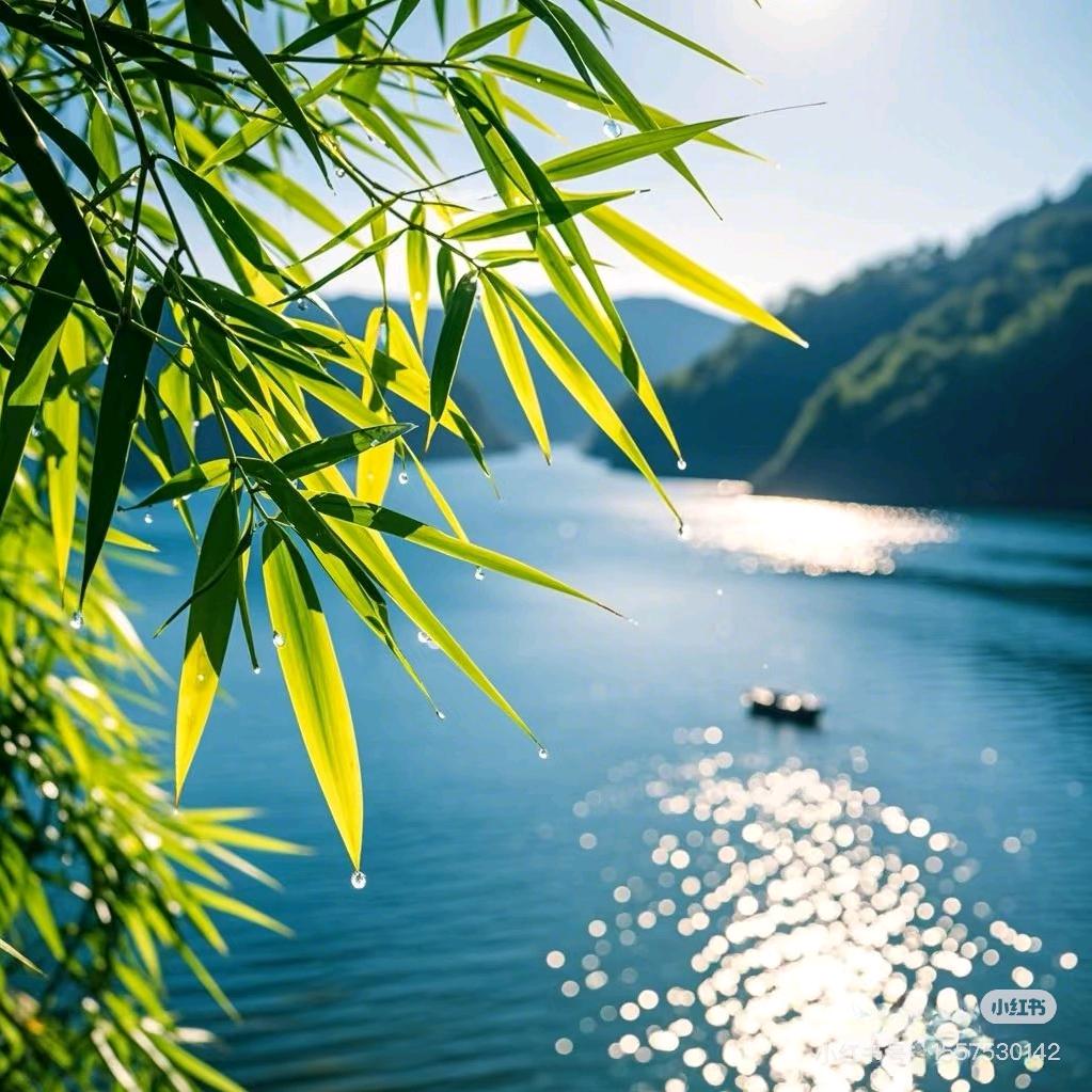 快乐加载中...