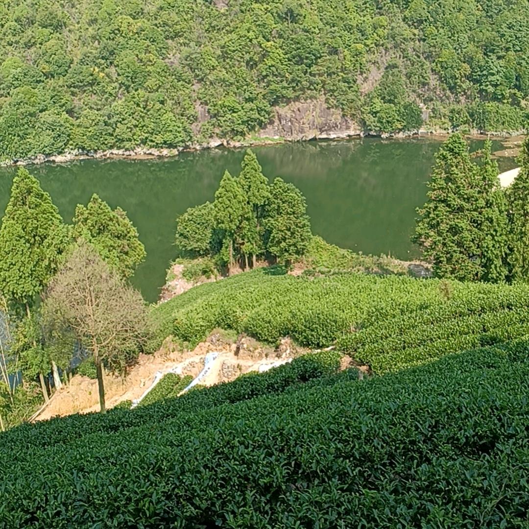 纵横四海